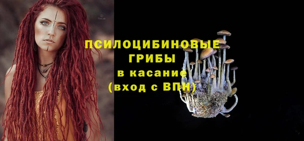 крисы Володарск