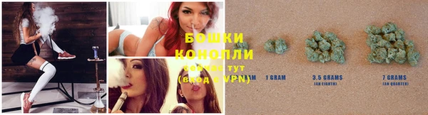 крисы Володарск