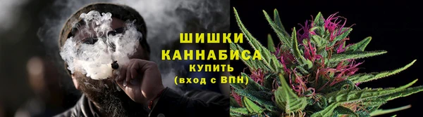 крисы Володарск