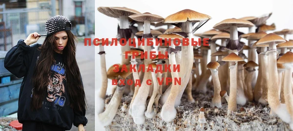 крисы Володарск