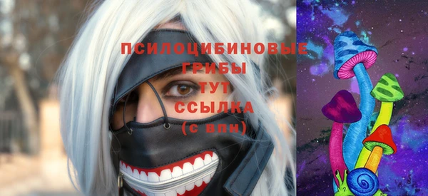 крисы Володарск