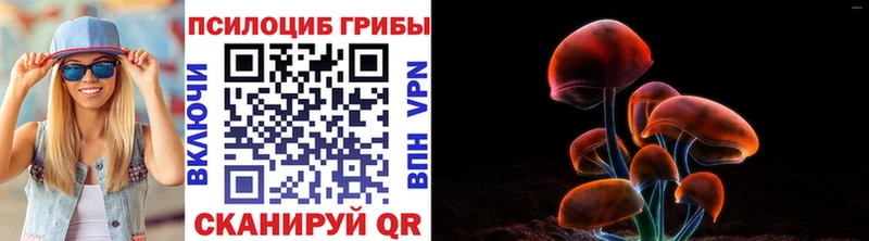 Псилоцибиновые грибы прущие грибы  Таганрог 
